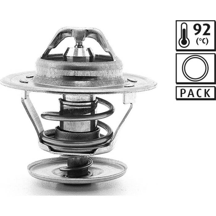 Thermostat, Kühlmittel 819869 Thermostat, Kühlmittel 819869