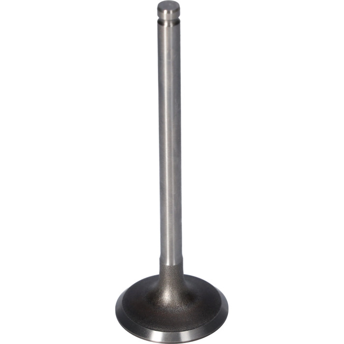 FEBI BILSTEIN 181650 Einlassventil