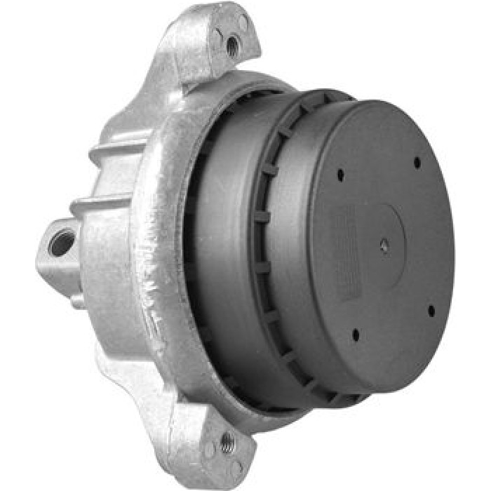 Tedgum TED97460 Lagerung, Motor