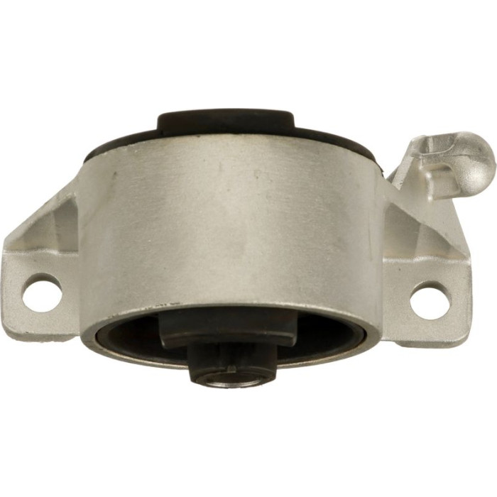 Gates ETM1713 Lagerung, Motor
