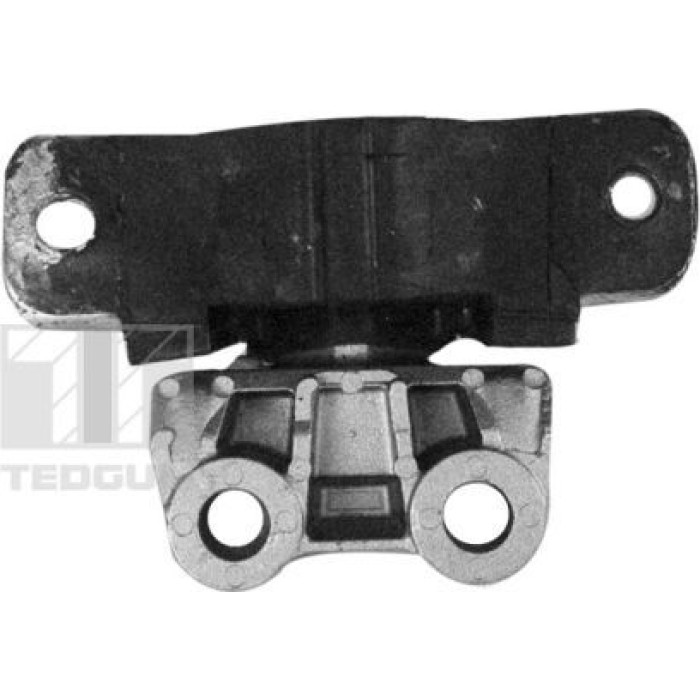 Tedgum 00219490 Lagerung, Motor