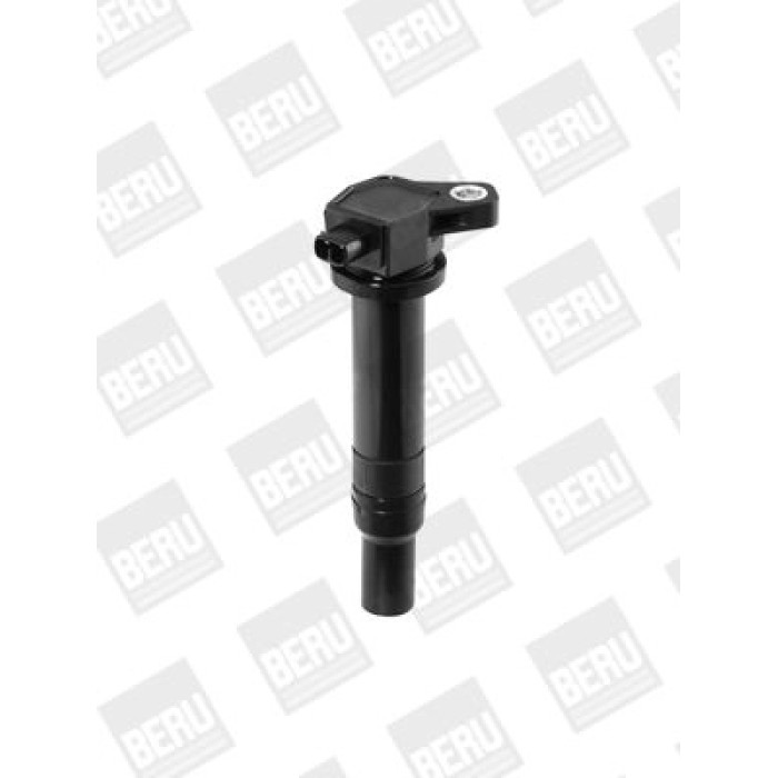 BorgWarner (BERU) ZS481 Zündspule
