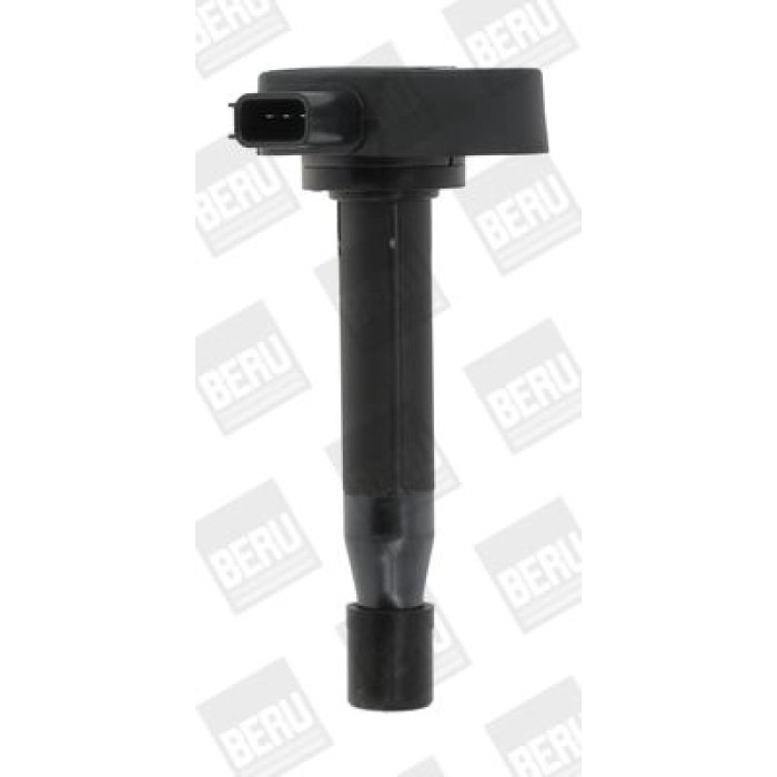 BorgWarner (BERU) ZSE166 Zündspule BorgWarner (BERU) ZSE166 Zündspule