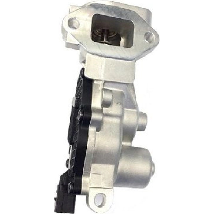 Wahler 710625D AGR-Ventil