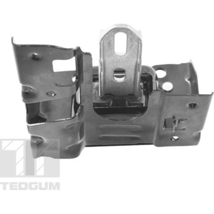 Tedgum TED46367 Lagerung, Motor