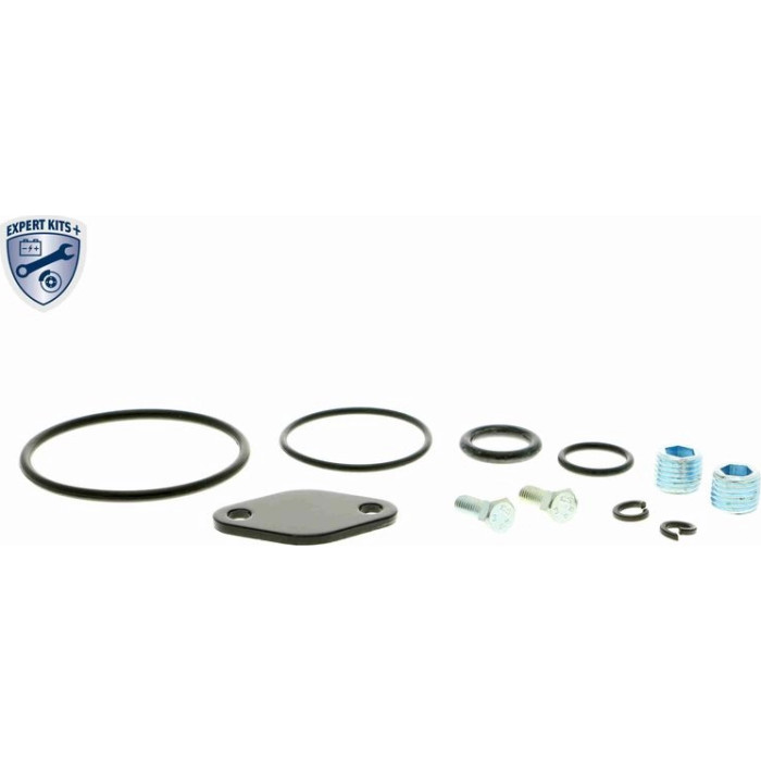 Vaico V30-50015 Wasserpumpe Expert Kits +
