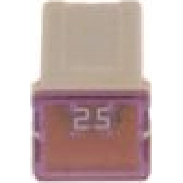 Sicherung 1 987 529 057