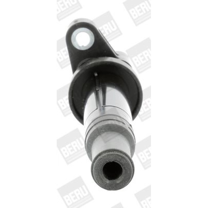 BorgWarner (BERU) ZS553 Zündspule