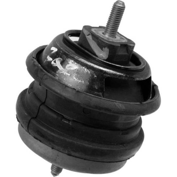 Lemförder 25879 01 Lagerung, Motor