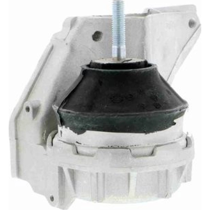 Vaico V10-1276 Lagerung, Motor