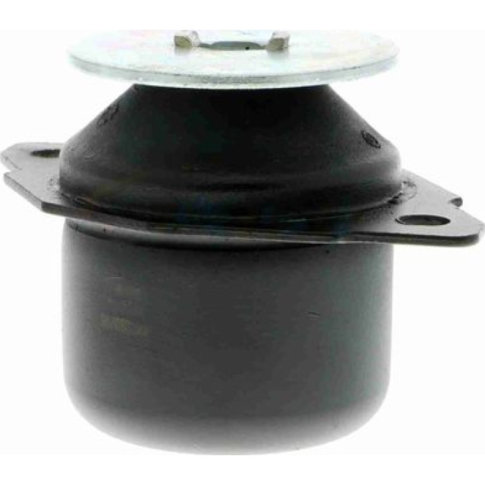 Vaico V10-1176 Lagerung, Motor