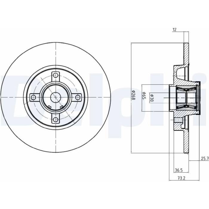 Delphi BG9053RS Bremsscheibe Delphi BG9053RS Bremsscheibe
