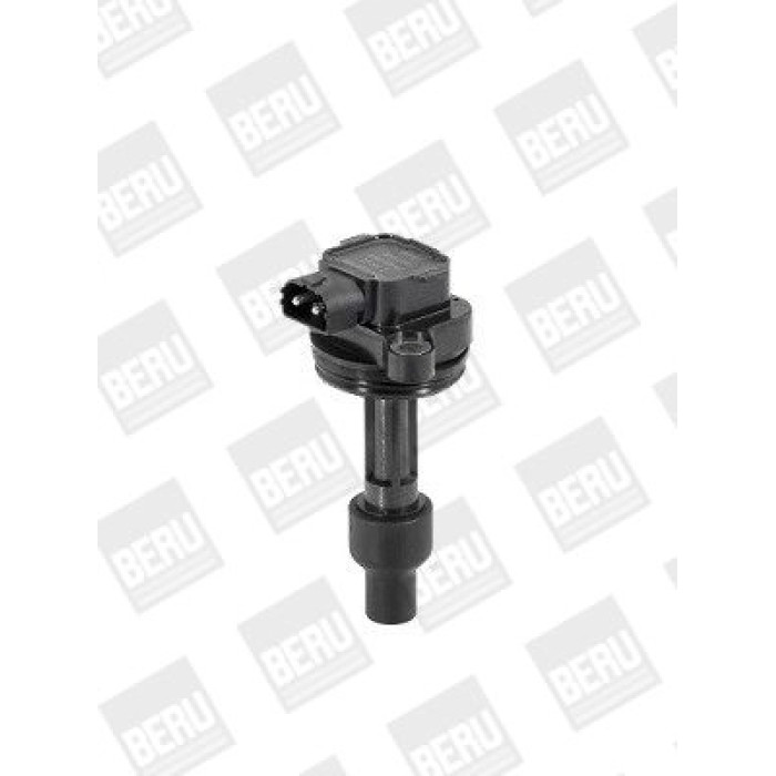 BorgWarner (BERU) ZS446 Zündspule