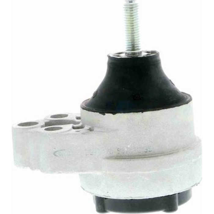 Vaico V25-0170 Lagerung, Motor