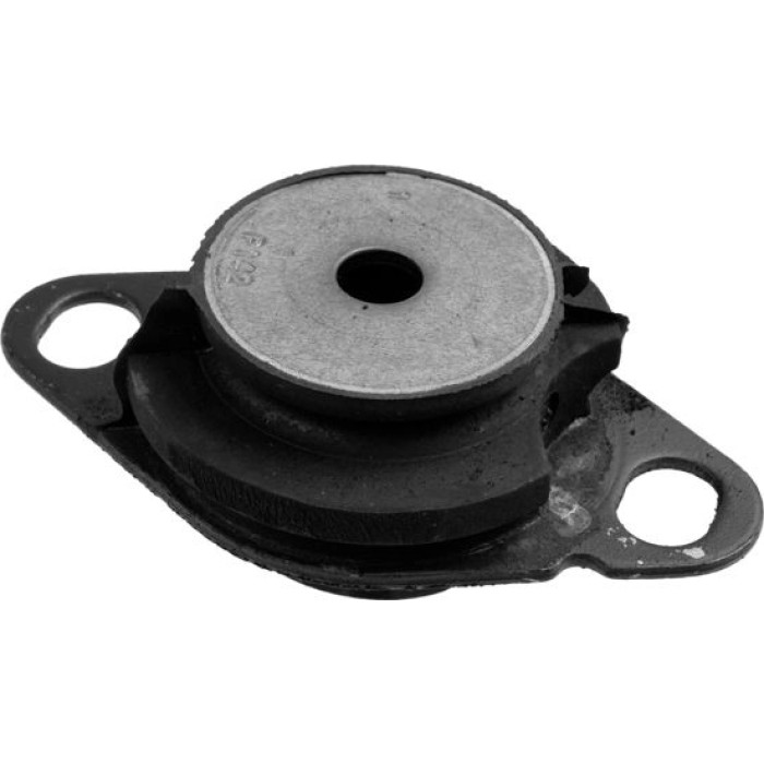Lemförder 28888 01 Lagerung, Motor