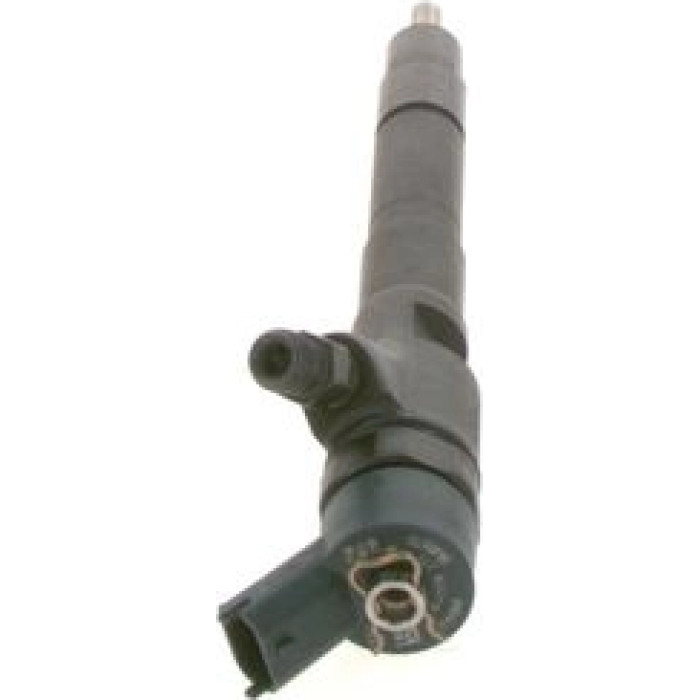BOSCH 0 445 110 273 Einspritzdüse Common Rail BOSCH 0 445 110 273 Einspritzdüse Common Rail
