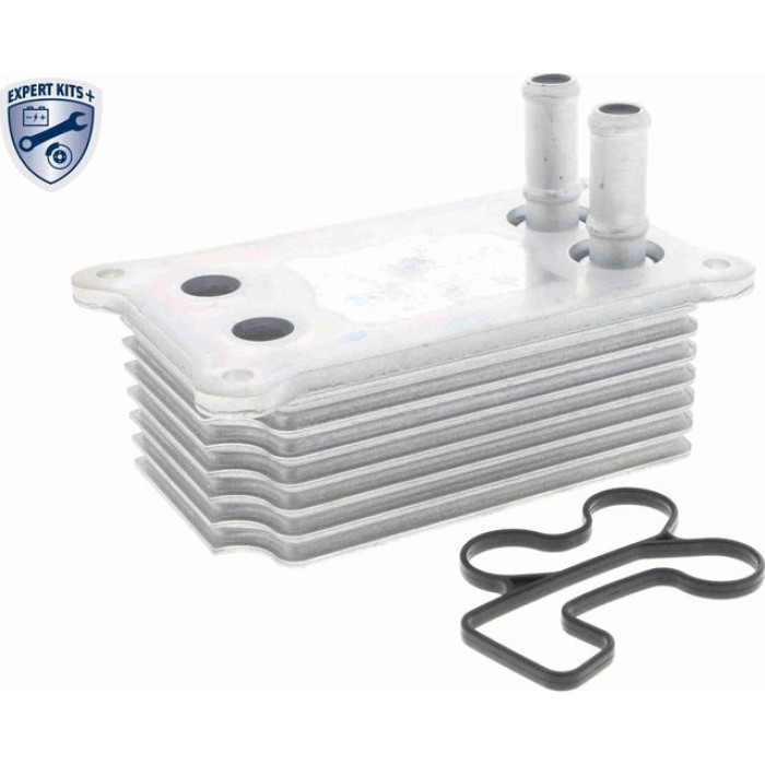 Vemo V25-60-0031 Ölkühler, Motoröl Expert Kits + Vemo V25-60-0031 Ölkühler, Motoröl Expert Kits +
