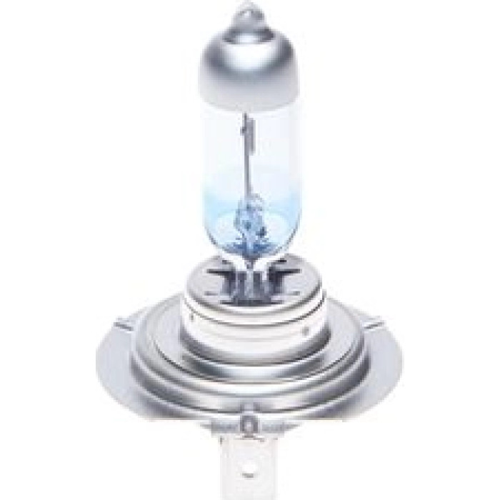 2x BOSCH 1 987 301 137 Glühlampe 2 x