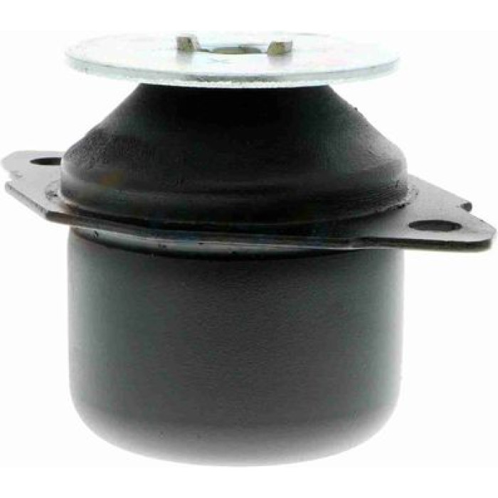 Vaico V10-1176 Lagerung, Motor