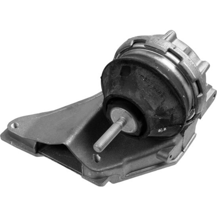 Lemförder 13660 01 Lagerung, Motor