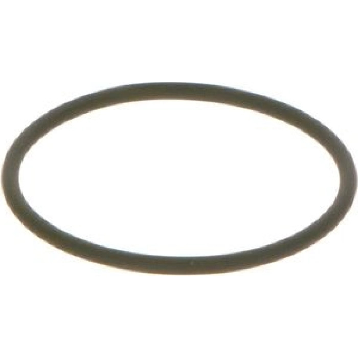 BOSCH F 00N 202 130 Dichtring