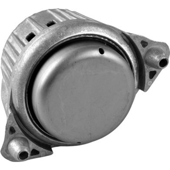 Tedgum TED53841 Lagerung, Motor Tedgum TED53841 Lagerung, Motor