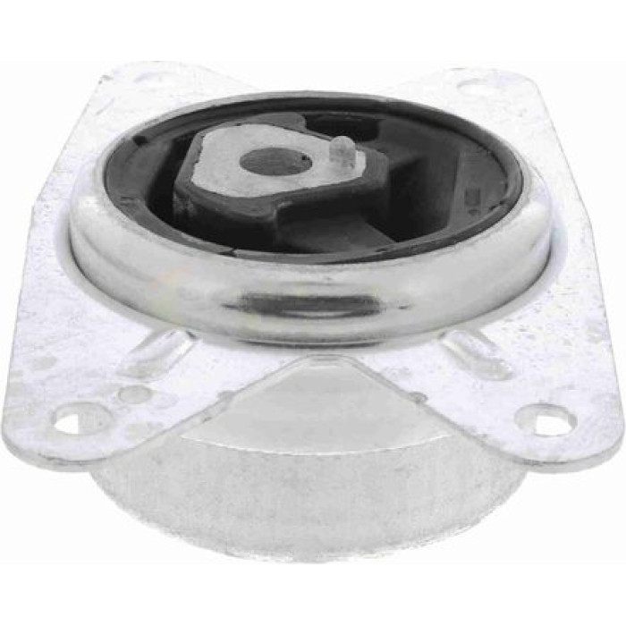 Vaico V40-0400 Lagerung, Motor