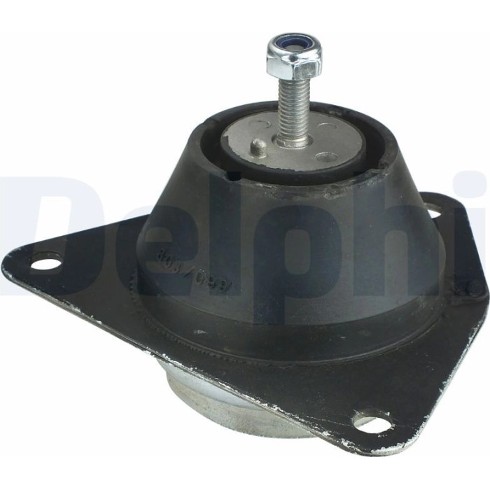 Delphi TEM035 Lagerung, Motor