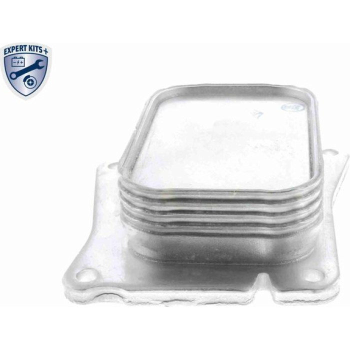 Vemo V30-60-1313 Ölkühler, Motoröl Expert Kits + Vemo V30-60-1313 Ölkühler, Motoröl Expert Kits +