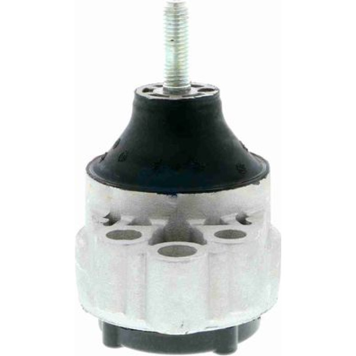 Vaico V25-0170 Lagerung, Motor