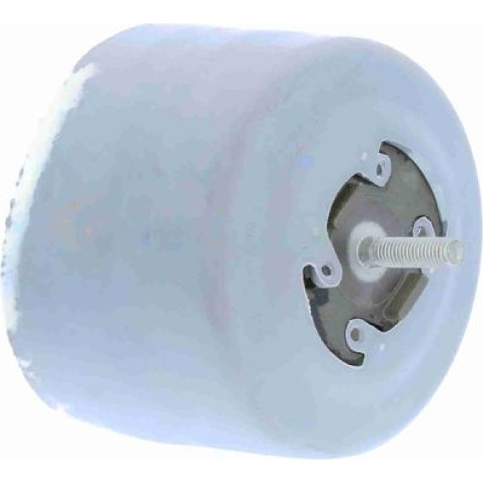 Vaico V10-8240 Lagerung, Motor