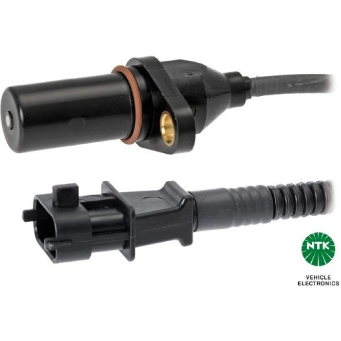 Impulsgeber, Kurbelwelle 81244 Impulsgeber, Kurbelwelle 81244