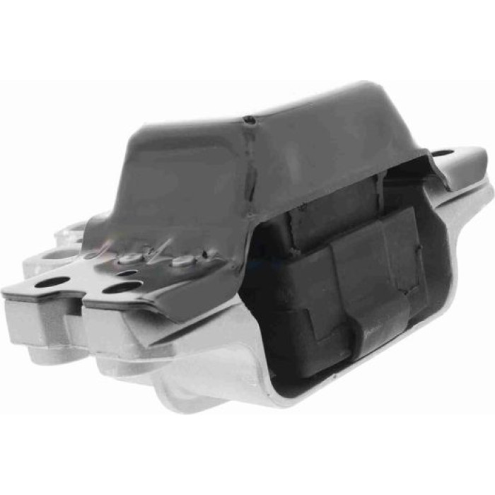 Vaico V10-1480 Lagerung, Motor