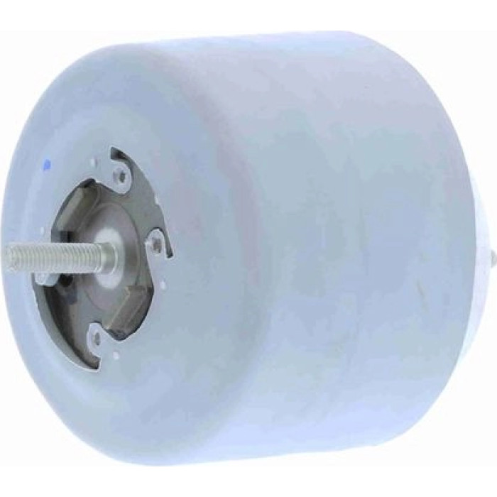 Vaico V10-8240 Lagerung, Motor