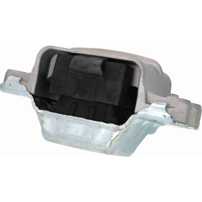 Vaico V10-1480 Lagerung, Motor