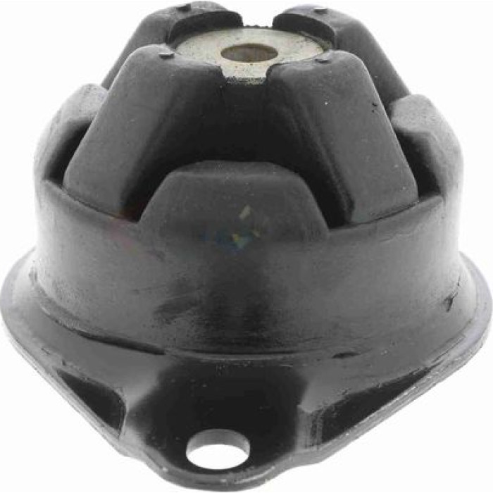 Vaico V10-2430 Lagerung, Motor