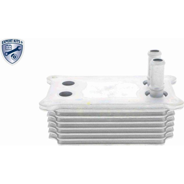 Vemo V25-60-0031 Ölkühler, Motoröl Expert Kits + Vemo V25-60-0031 Ölkühler, Motoröl Expert Kits +