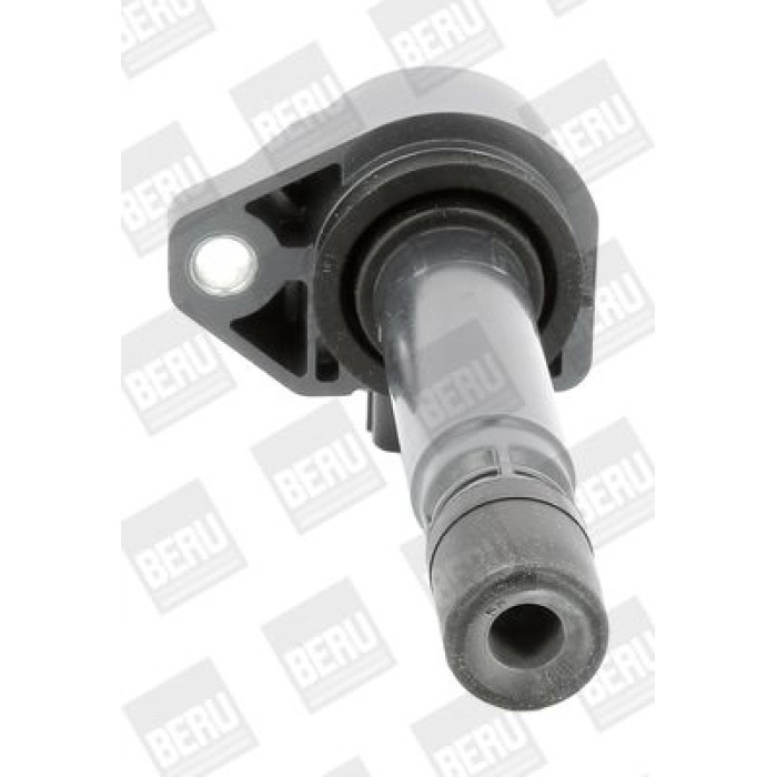 BorgWarner (BERU) ZSE182 Zündspule