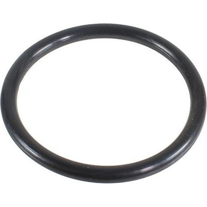 Metzger 2430113 Dichtring