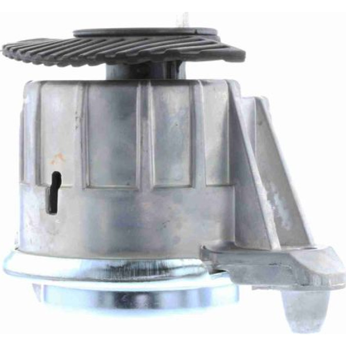 Vaico V30-2198 Lagerung, Motor