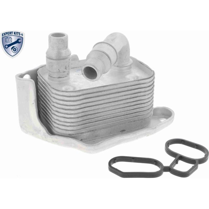 Vemo V20-60-0031 Ölkühler, Motoröl Expert Kits +