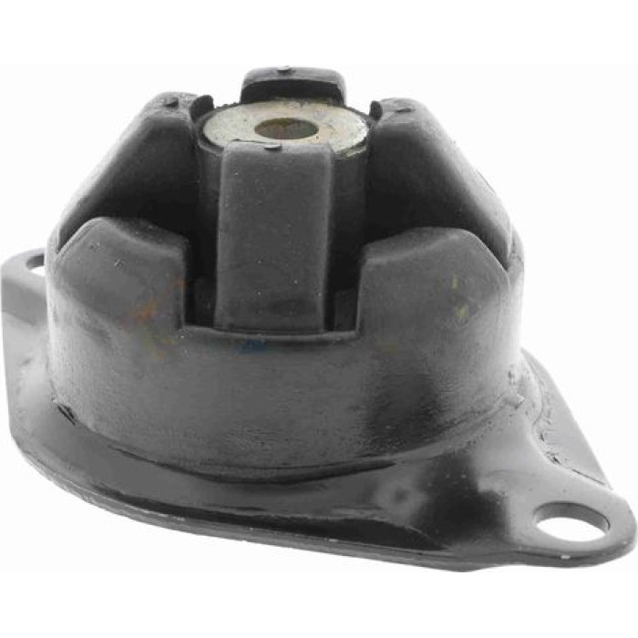 Vaico V10-2430 Lagerung, Motor