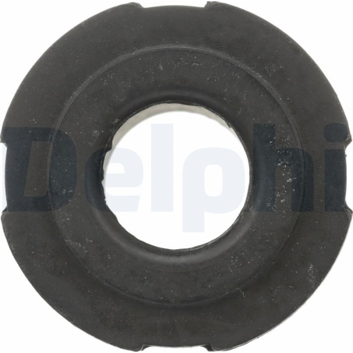 Delphi TD4614W Lagerung, Blattfeder