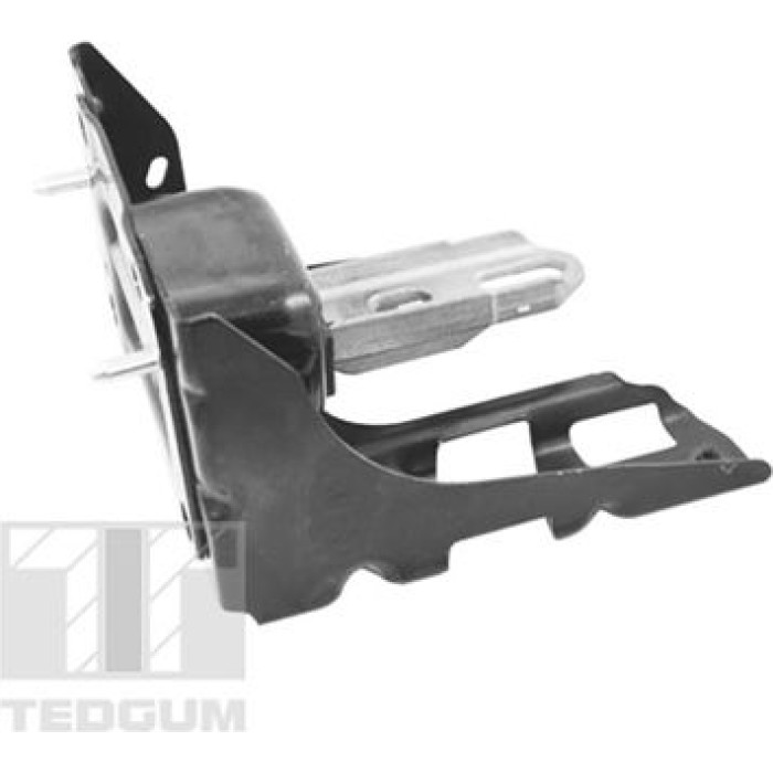 Tedgum TED46367 Lagerung, Motor