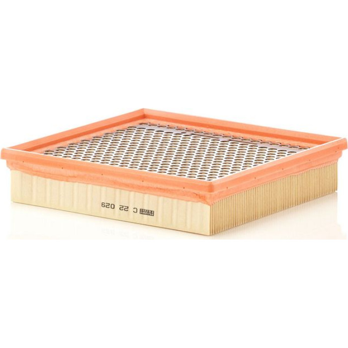 MANN-FILTER C 22 029 Luftfilter MANN-FILTER C 22 029 Luftfilter