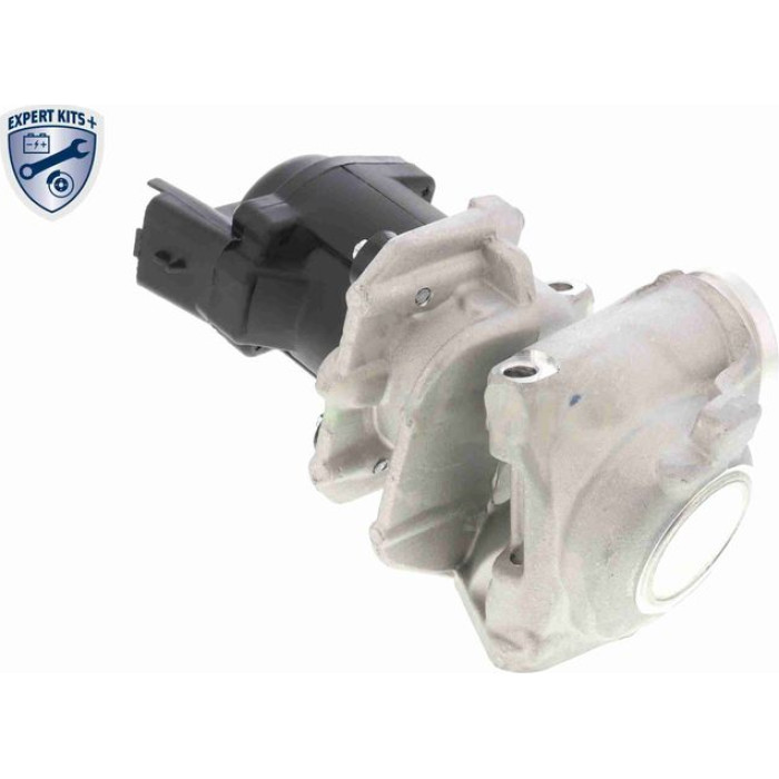 Vemo V42-63-0002 AGR-Ventil Expert Kits +