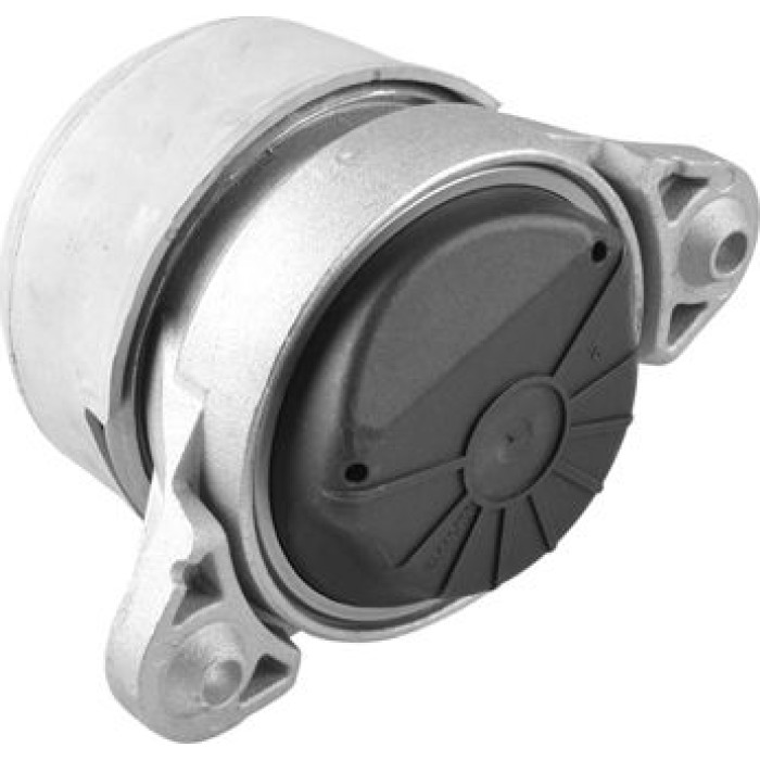 Tedgum TED79851 Lagerung, Motor