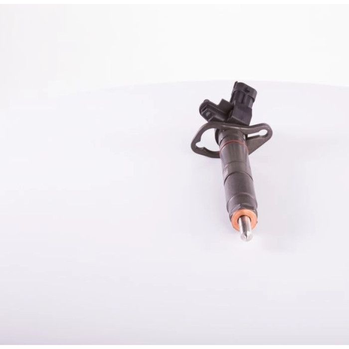 BOSCH 0 445 116 012 Einspritzdüse
