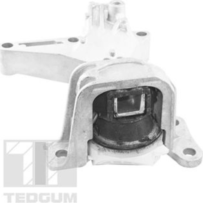 Tedgum TED61737 Lagerung, Motor