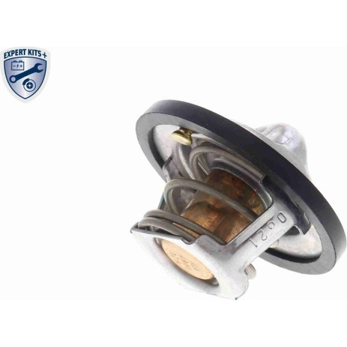 Thermostat, Kühlmittel V15-99-1895 Thermostat, Kühlmittel V15-99-1895